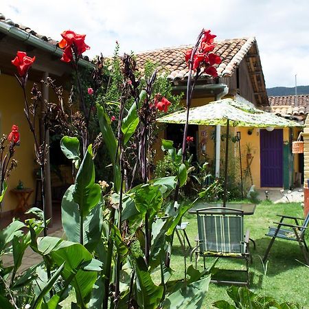 Jaguar You Bed & Breakfast San Cristobal de las Casas Luaran gambar