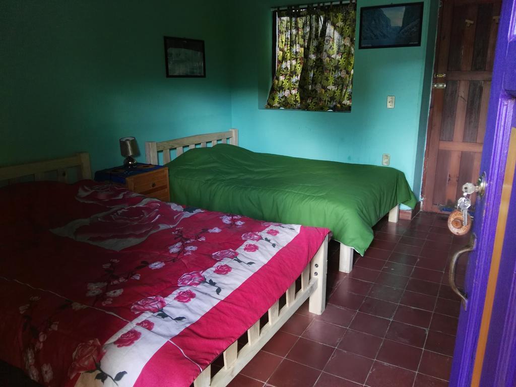 Jaguar You Bed & Breakfast San Cristobal de las Casas Luaran gambar